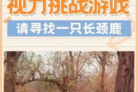 眼力大挑战找电脑版畅玩攻略_趣味搜索闯关全解析
