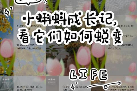 蝌蚪奇遇记_探索水世界与成长蜕变的趣味冒险之旅