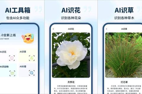 识花君免费下载安装教程-花卉识别神器一键获取指南