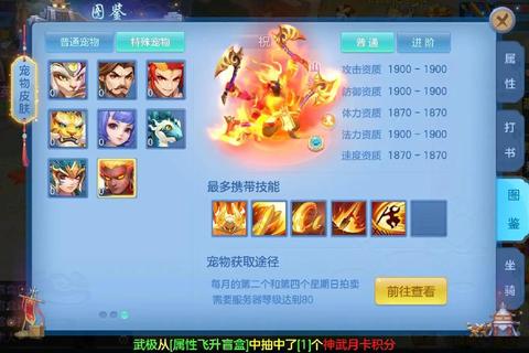 神武手游主线剧情全攻略新手必看快速通关技巧与任务流程指南