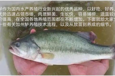 特殊鱼类养殖难题频发？了解有哪些特殊鱼及实用养殖技巧助破局