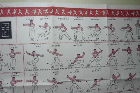 拳脚交锋十二路谭腿实战精要-破解近身缠斗关节技与暗劲发力的习练秘典