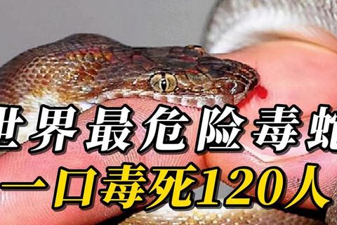毒蛇神殿全BOSS攻略团队副本高效打法与实战技巧解析