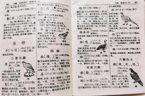 潮汕方言词典下载指南_免费资源获取与安装教程详解