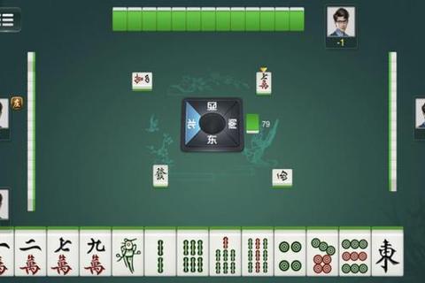 海南琼崖麻将下载_正宗玩法解析与手机版安装指南