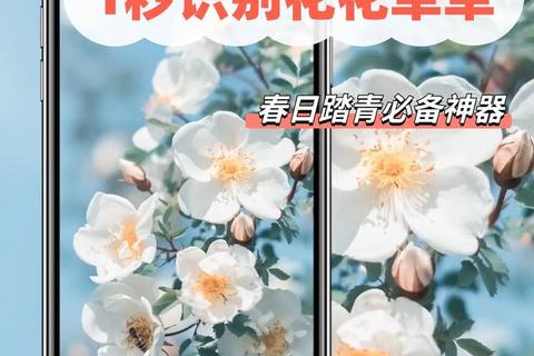 拍照识花神器下载_识花君智能辨花APP-一键识别花卉品种名称 拍照识花神器下载_识花君智能辨花APP-一键识别花卉品种名称
