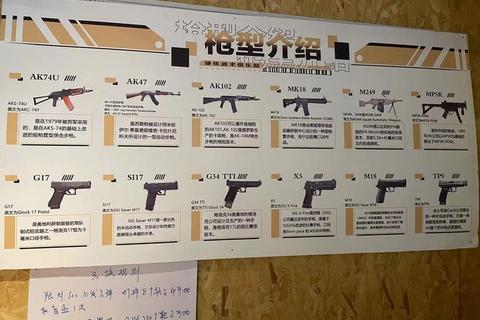 男生热衷游戏类型解析:射击与策略类成首选 男生热衷游戏类型解析:射击与策略类成首选