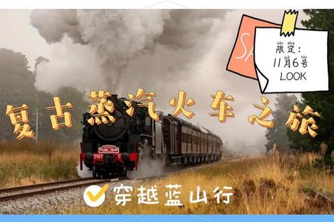 蒸汽火车头竞速挑战-轨道征服与极速策略全攻略 蒸汽火车头竞速挑战-轨道征服与极速策略全攻略