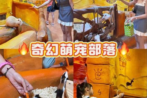 萌宠语伴大冒险-与会话宠物共建奇幻世界_智能互动新体验 萌宠语伴大冒险-与会话宠物共建奇幻世界_智能互动新体验