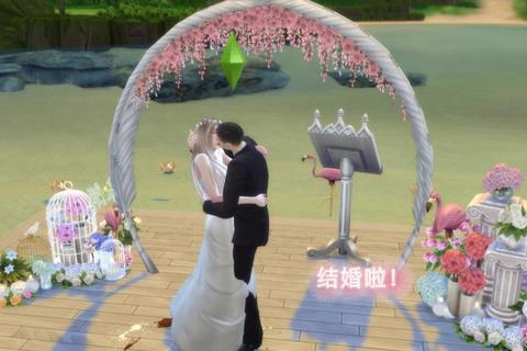 模拟人生4婚礼流程详解与浪漫场地布置技巧  第1张