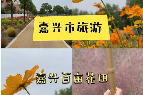 花田半亩下载指南-高清完整版资源免费获取与使用教程