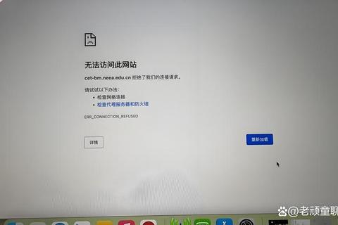 为什么网页上打不了字输入异常排查与解决指南