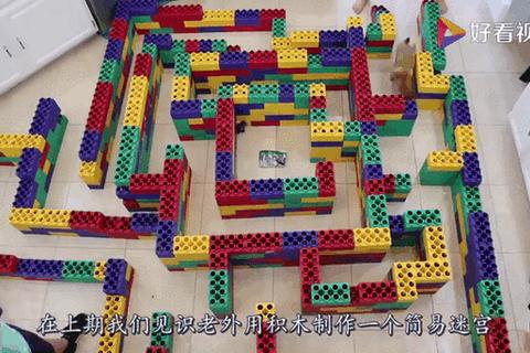 水管迷宫大挑战：管道工巧连千条路闯关赛