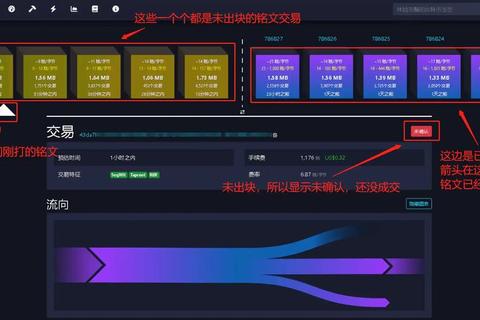 SAT转生全流程攻略从零开始到毕业的详细技巧与资源分配指南