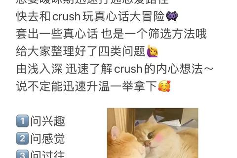 心动信号对对碰:情侣专属每日问答升温挑战