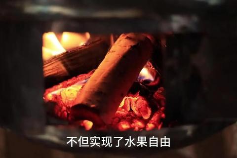 森林生活生存指南：高效建造安全屋与快速获取食物技巧全解析