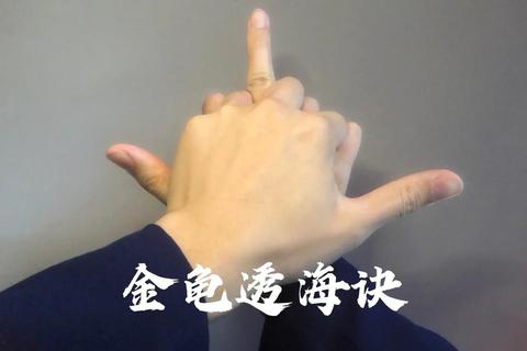 指姆玩达人必备十大实战技巧助你轻松通关无压力