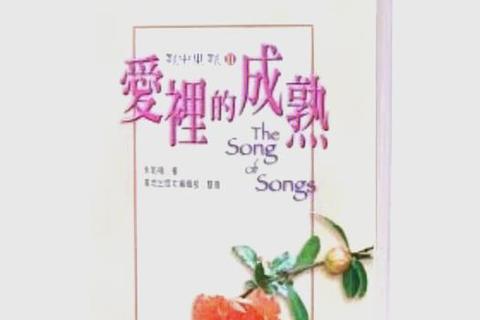 恋爱成长指南：虚拟心语课堂-情感启航与亲密关系探索之旅
