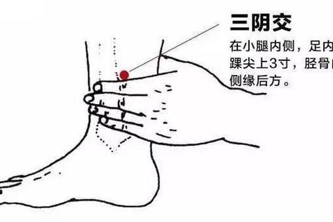 阴江在哪里位置不明引困扰精准定位指南助你快速抵达