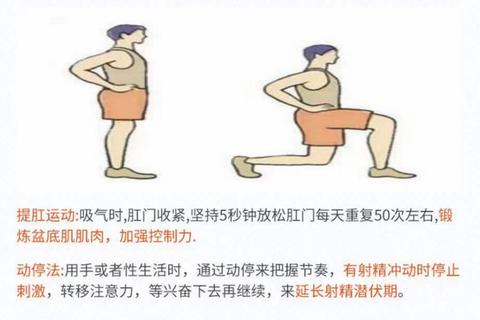 为什么秒射困扰不断？三步调理法助你重获持久自信