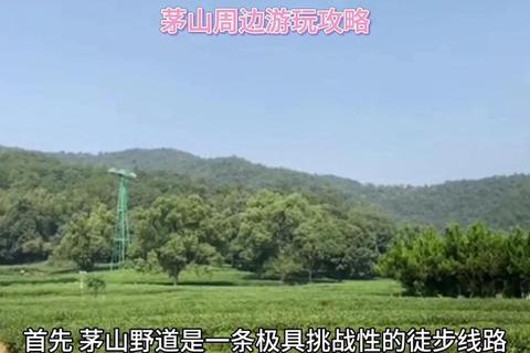 茅山传手游全方位攻略指南新手快速入门与进阶技巧详解