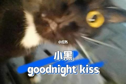 唇间谜题:心跳之吻与沉浸式互动游戏攻略 唇间谜题:心跳之吻与沉浸式互动游戏攻略
