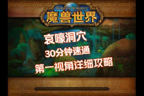 WDD副本通关全攻略必看详细流程与核心技巧解析