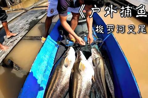 捕鱼冠军必备技巧揭秘如何快速提升捕获率成为顶级高手