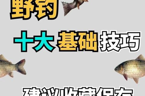 钓鱼王者新手必看快速上鱼技巧与装备升级高效秘籍