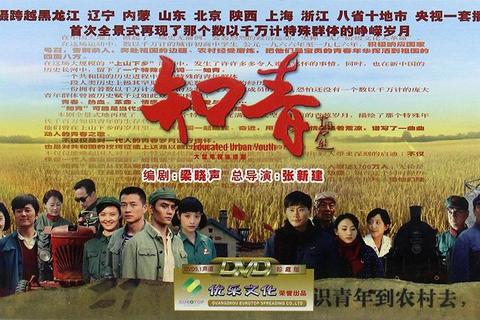 知情电视剧有哪些解决剧荒困扰精选推荐一网打尽