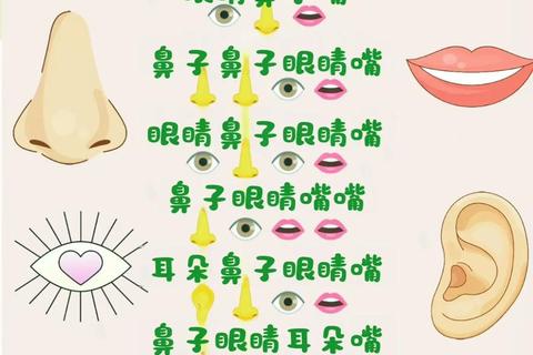 五官贴贴乐大挑战-创意亲子互动游戏_趣味益智欢乐时光