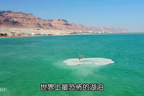 为什么叫死海解析名称由来与生态保护难题破解之道