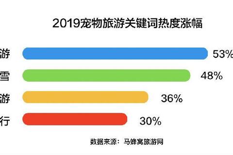 2047蜂巢卡组进阶指南：高效构筑策略与实战操作技巧详解