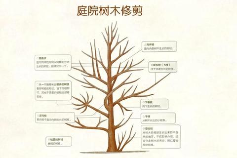 拯救大树全攻略：10个关键步骤解决环境危机与病虫害问题
