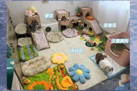 家园焕新总动员：我爱我家创意改造挑战赛-共建温馨小屋模拟体验