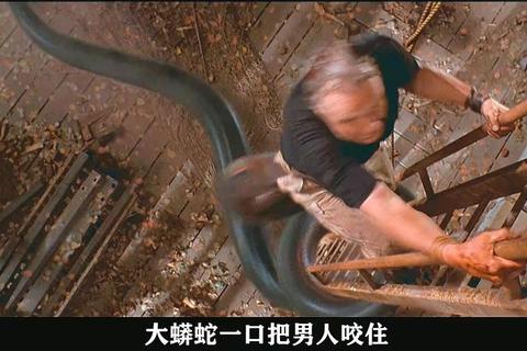狂蟒之灾2_高清迅雷BT下载-1080P中字资源免费获取
