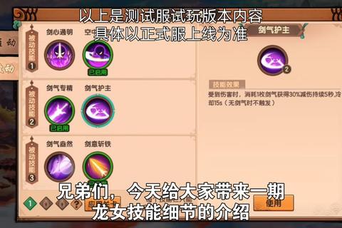 神武龙女暴力流加点方案技能属性搭配与实战效果详解