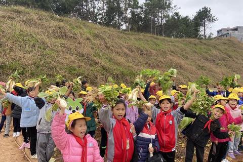 丰收狂欢季：大丰收游戏挑战赛_农场争霸欢乐庆典