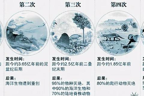 为什么史前生物体型庞大？解析氧气浓度与生态竞争关键因素