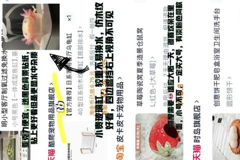 六角龙吃什么食物喂养难题解析科学食谱轻松解决
