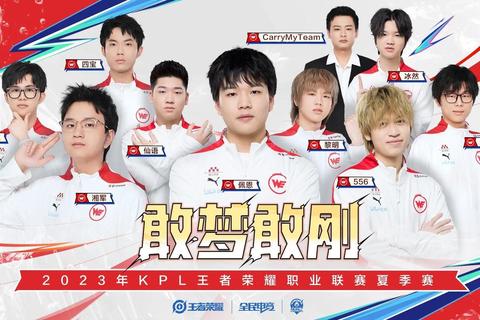 骚男是哪个战队的难确认？一招教你快速获取所属战队及最新动态