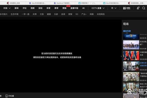 视频播放失败怎么解决三步快速修复流畅观看难题