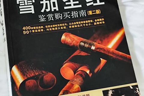 圣经下载_中文电子版+有声书-正版资源免费获取指南