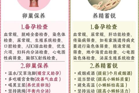 梦幻手游夫妻育儿全流程指南从备孕到高效培养技巧解析