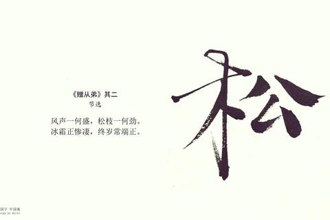 松柏象征坚韧不拔现代人如何在压力中修炼抗挫品格