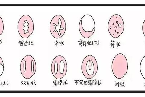 第一次为什么进不去？解析常见原因与三步解决法  第2张