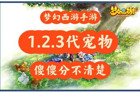 梦幻西游宠物培养全攻略：技能选择与属性优化实战技巧详解