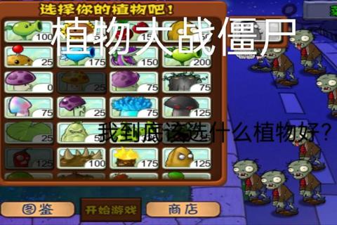 植物大战僵尸哪个版本好玩 玩家选择难题与各版本特色解析