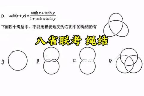 绳结智趣大比拼：解锁缠绕难题-挑战思维极限