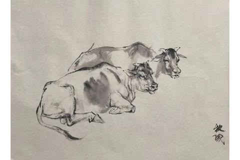 蝇生速写:微观生存挑战与物理模拟游戏 蝇生速写:微观生存挑战与物理模拟游戏